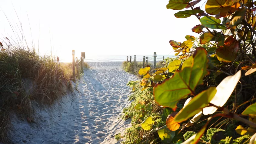 Blind Pass Beach Park