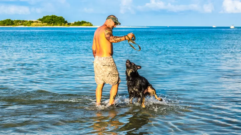 Dog Beach Park