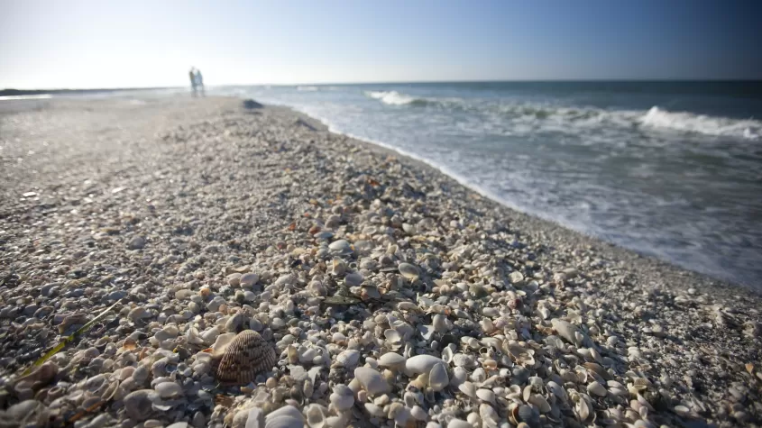 Cayo Costa State Park