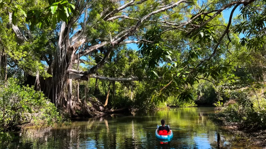 Plenty of shade while on the river.