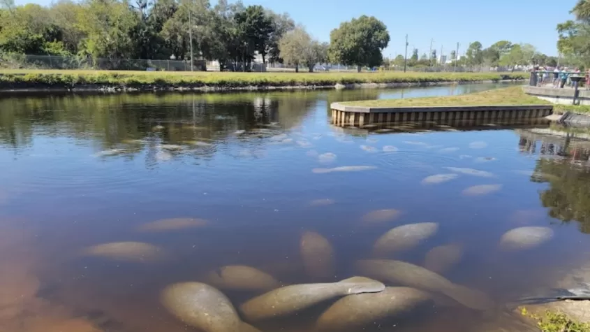 Manatee Park and launch site for Orange River tours.