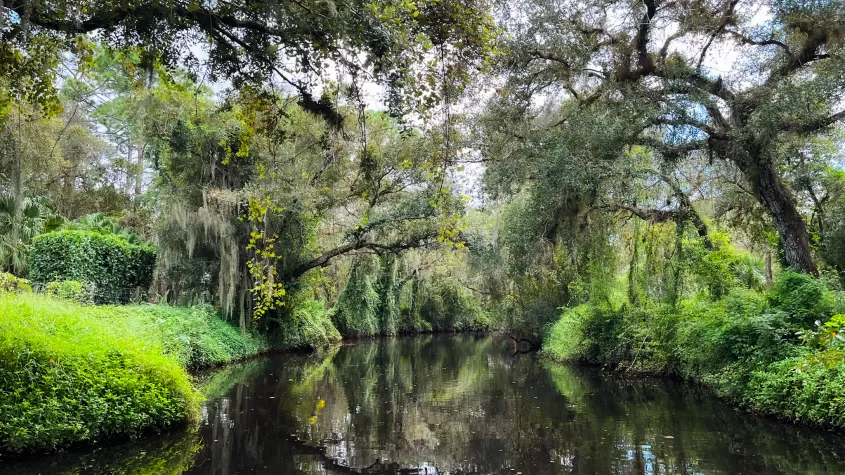 Unblemished and surrounded by nature on Telegraph Creek