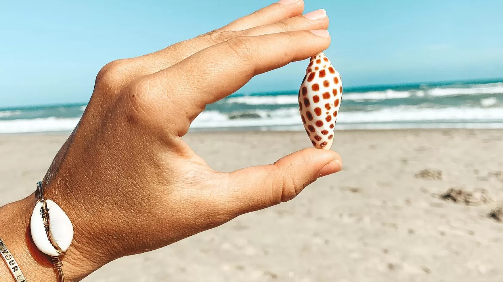 Endless seashell treasures await