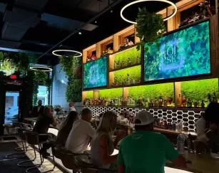 A plated meal is served at a restaurant in Fort Myers.