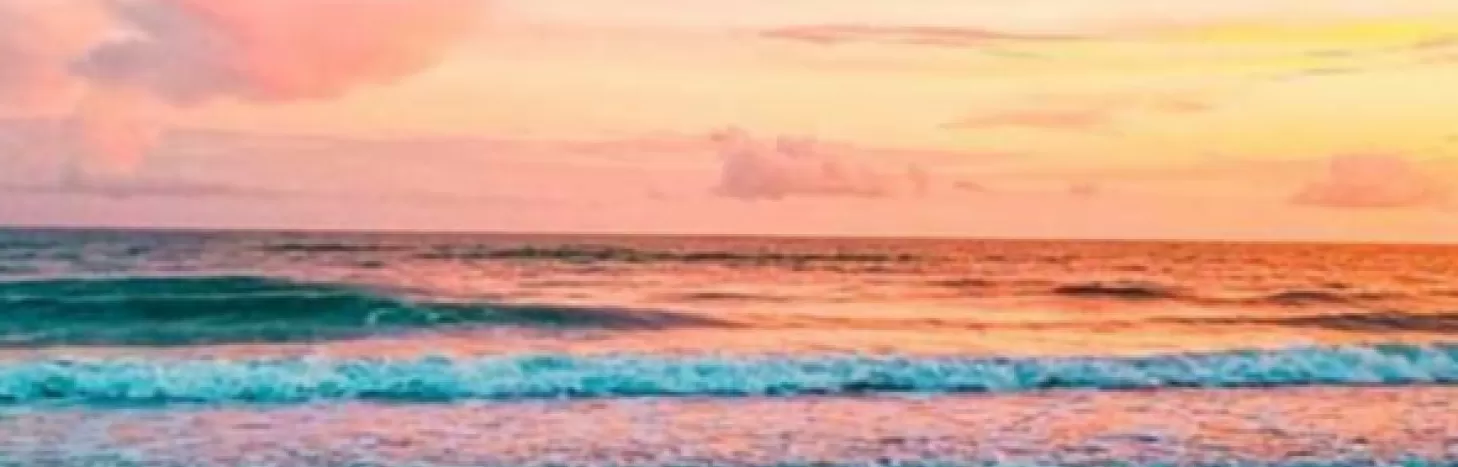 Weekly What To Do E-Newsletter