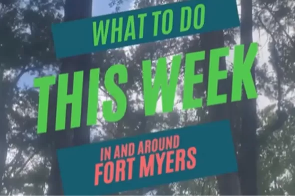 Weekly What to Do Instagram post