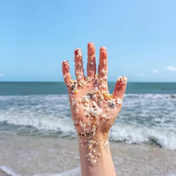 Shells Shelling Beach Waves