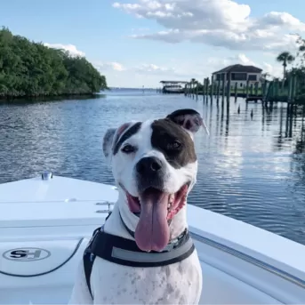 Enjoy boating in the Fort Myers area
